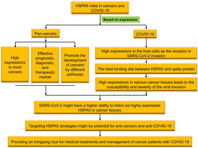 New progresses on cell surface protein HSPA5/BiP/GRP78 in cancers and COVID-19